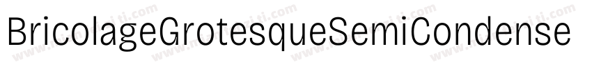 BricolageGrotesqueSemiCondensed Bol字体转换